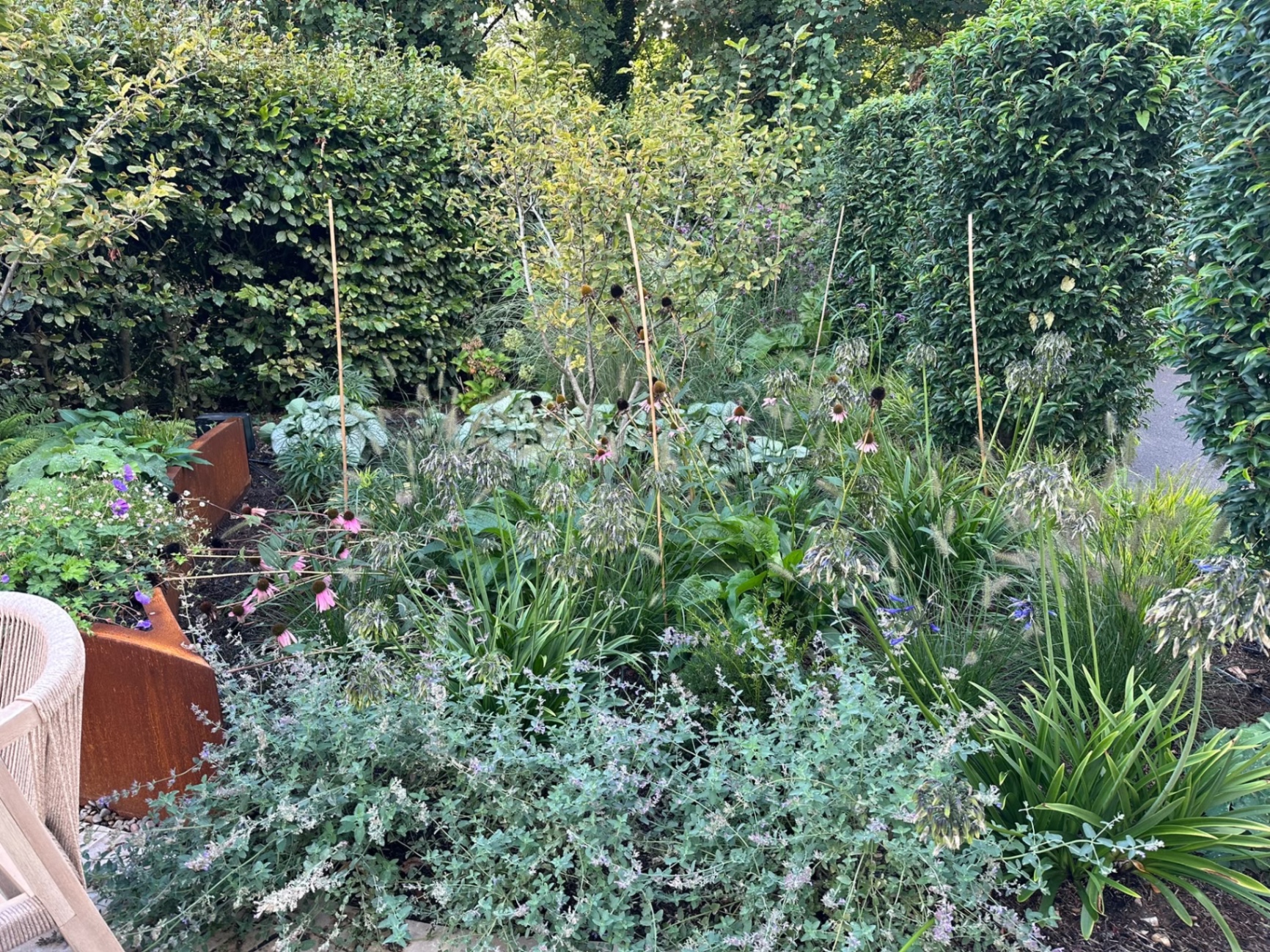 Layered perennial planting with echinacea, catmint and grasses above a low corten steel retaining wall