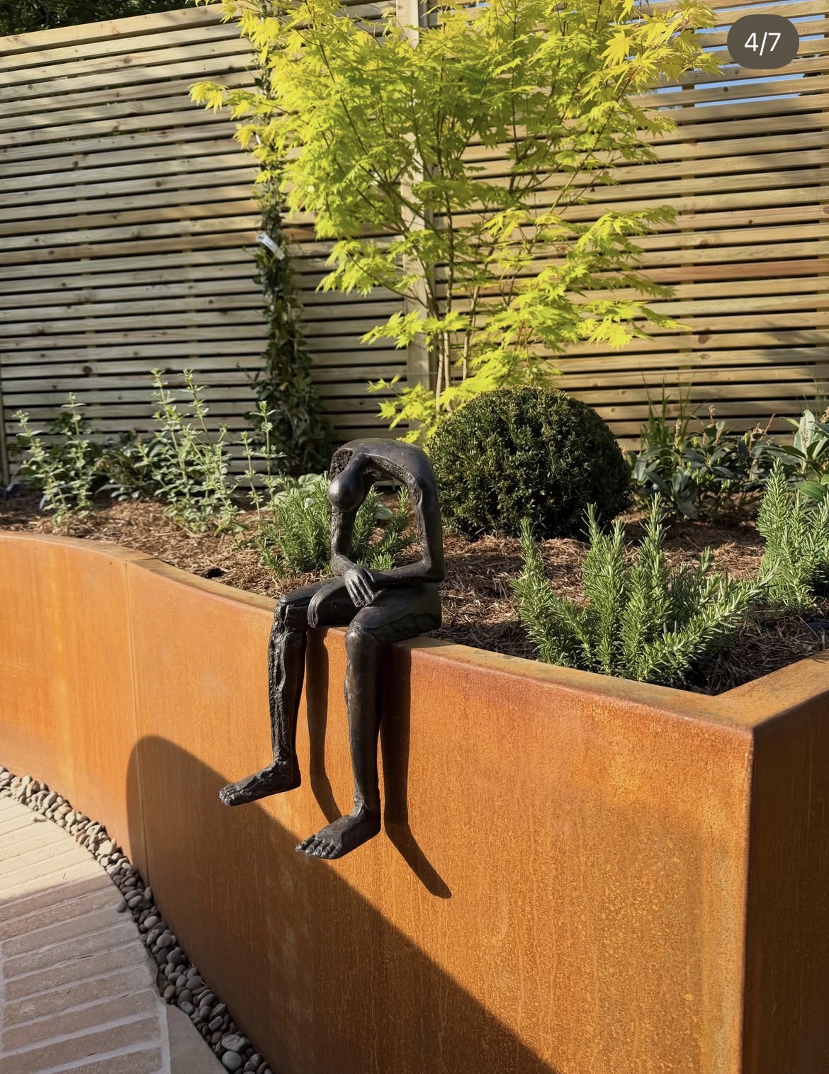 Sculpture seated on a corten planter beside a Japanese maple and clipped planting