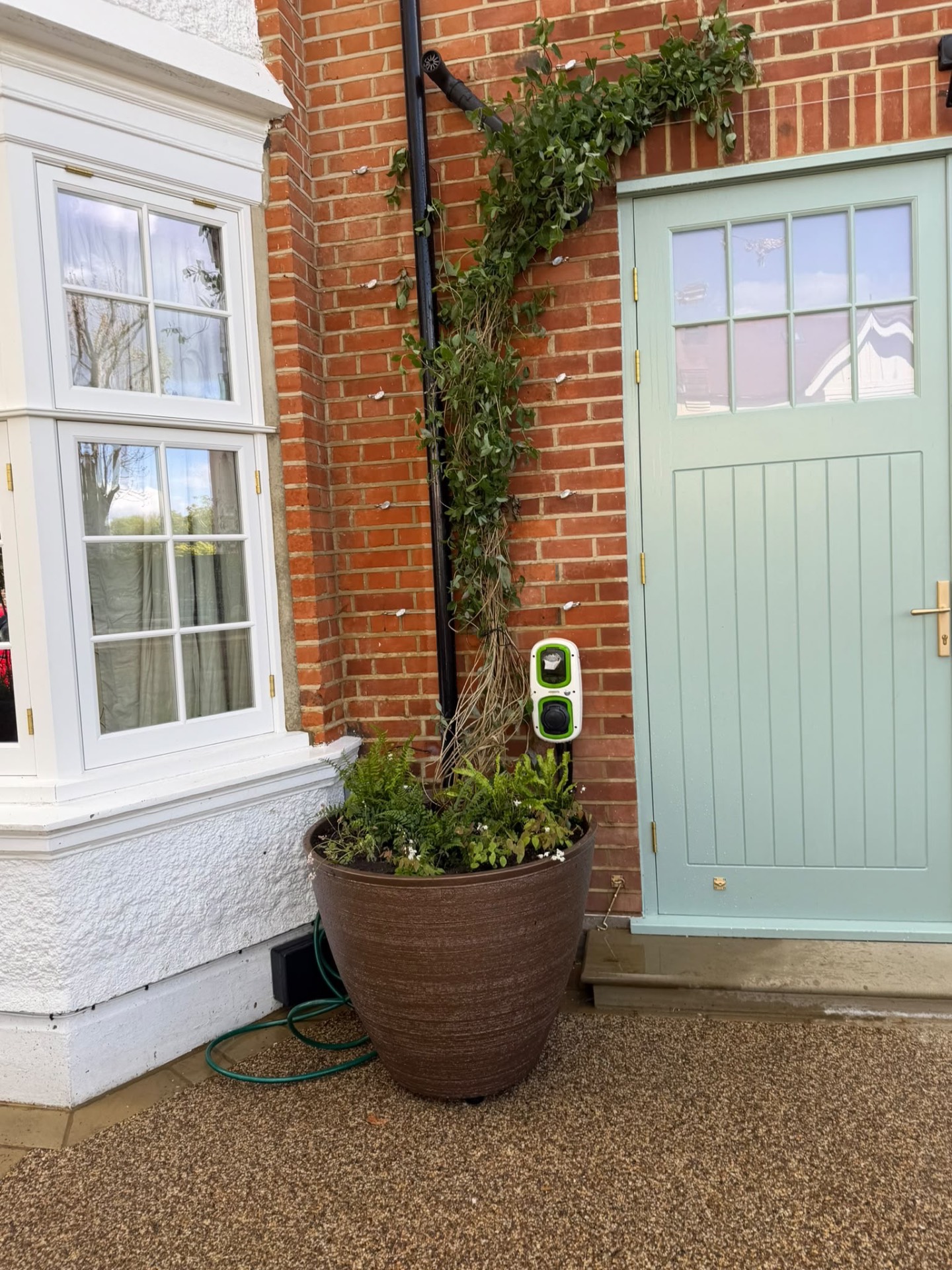 Torc pot of ferns and woodland planting beside the house, with a trained climber on the brickwork