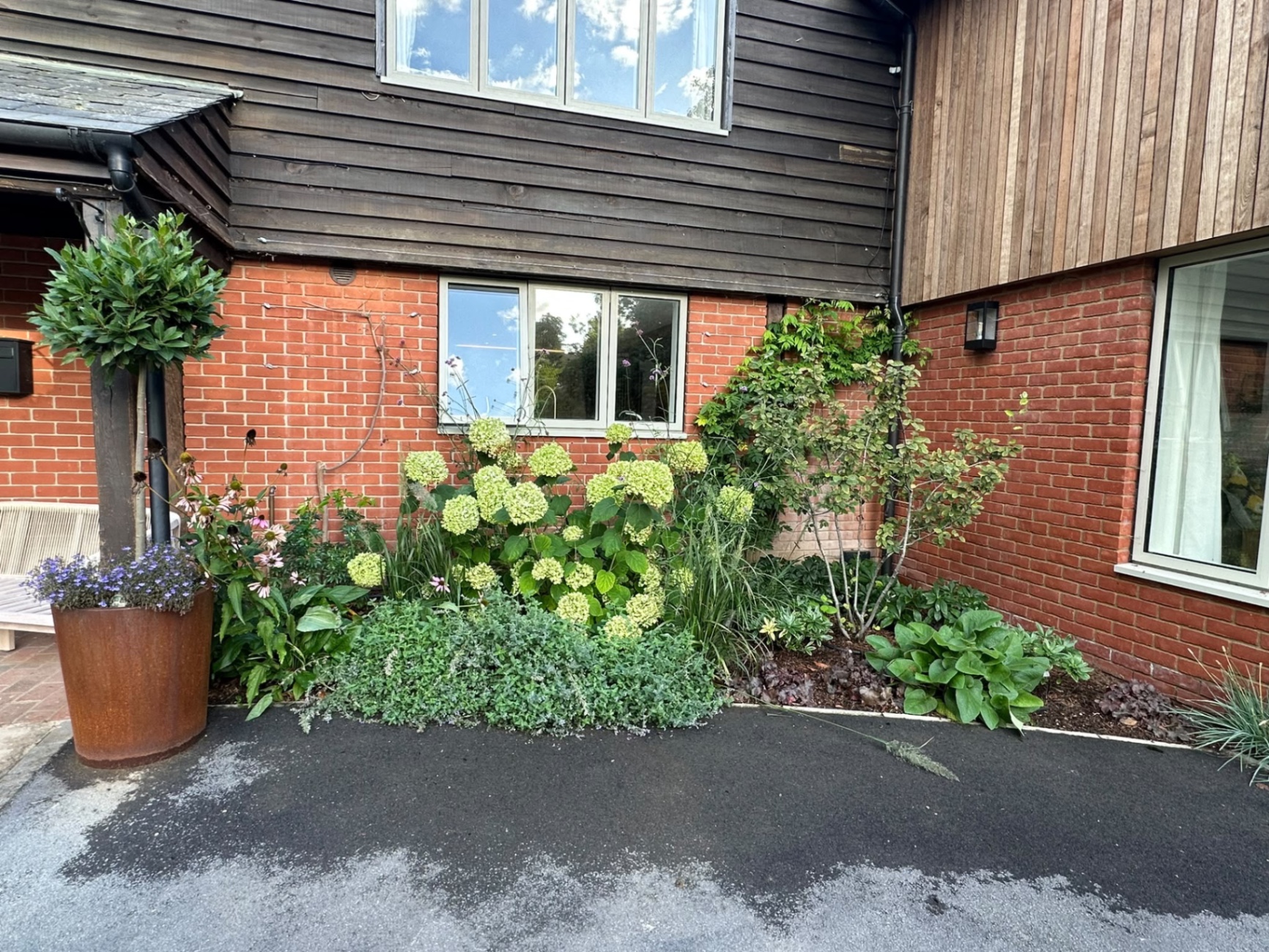 Planting bed of hydrangeas and hostas against the brick and timber-clad house, with a corten steel planter
