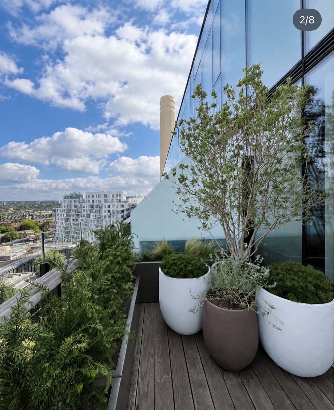 Rooftop terrace with sculptural trees and planters beside a glazed building