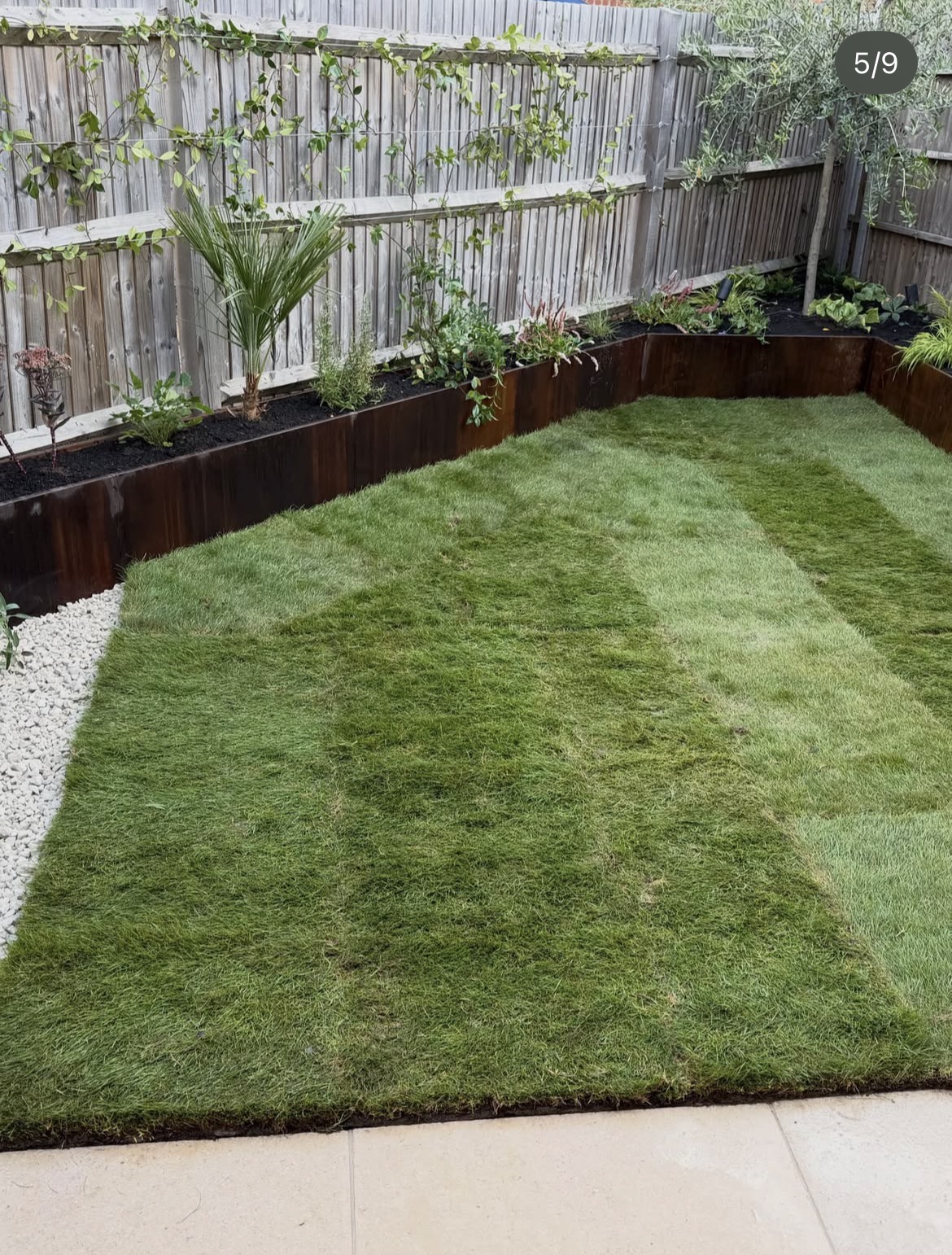 New lawn framed by corten steel edging and planted borders