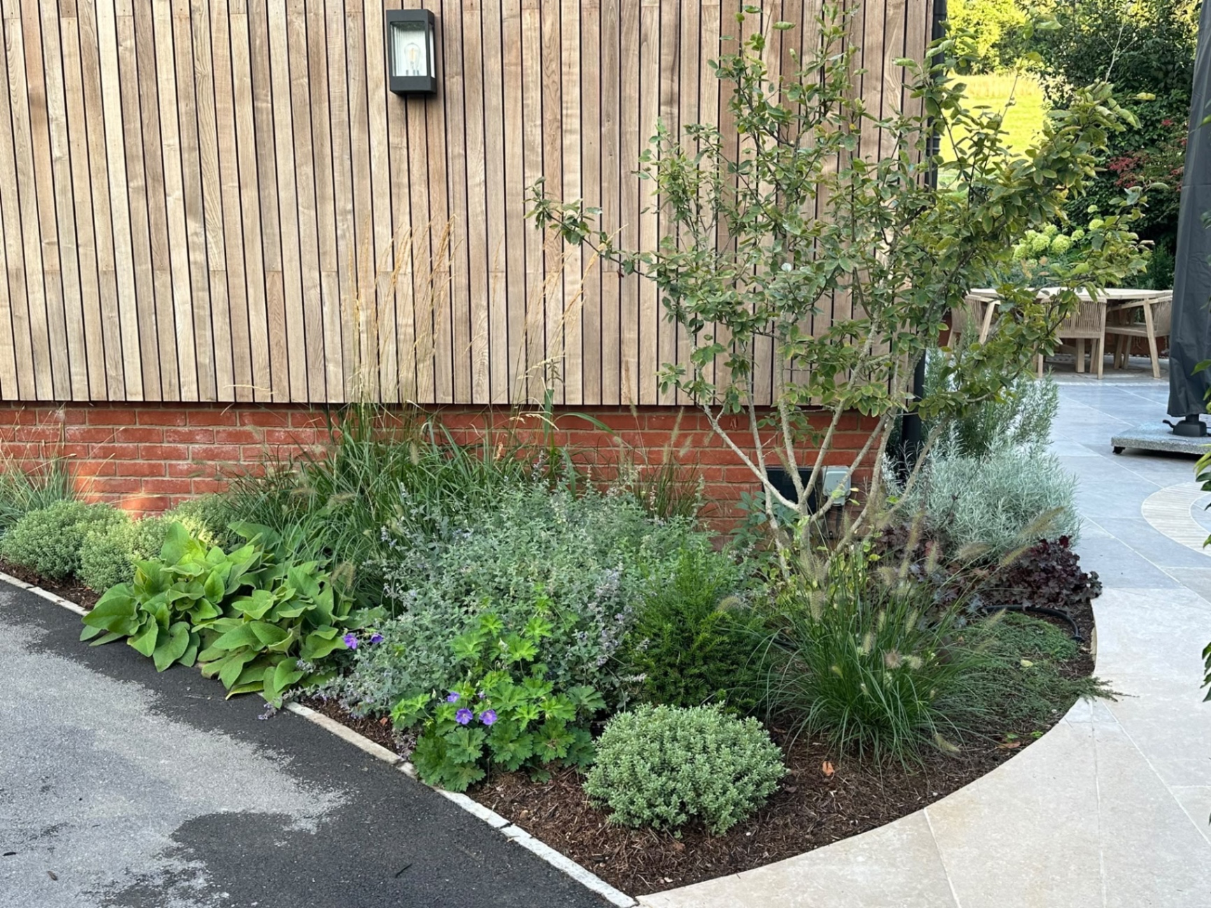 Garden border of ornamental grasses and perennials running alongside the timber-clad building